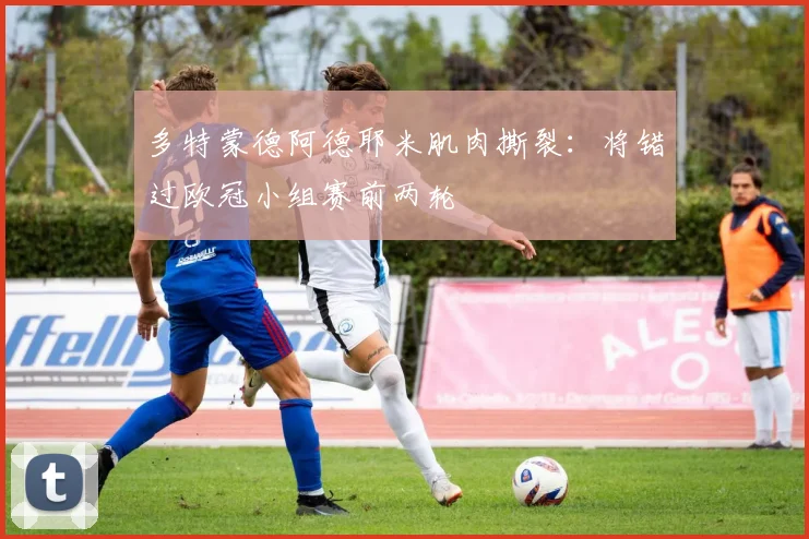 多特蒙德阿德耶米肌肉撕裂：将错过欧冠小组赛前两轮